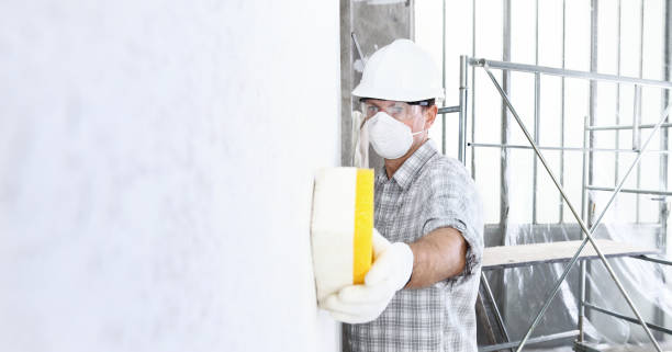 Wewahitchka, FL Mold Removal Services Company